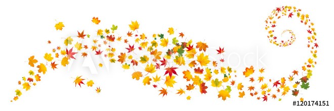 Bild på Bunte Herbstbltter als Hintergrund